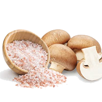 SŮL, MOŘSKÉ ŘASY, HOUBY
